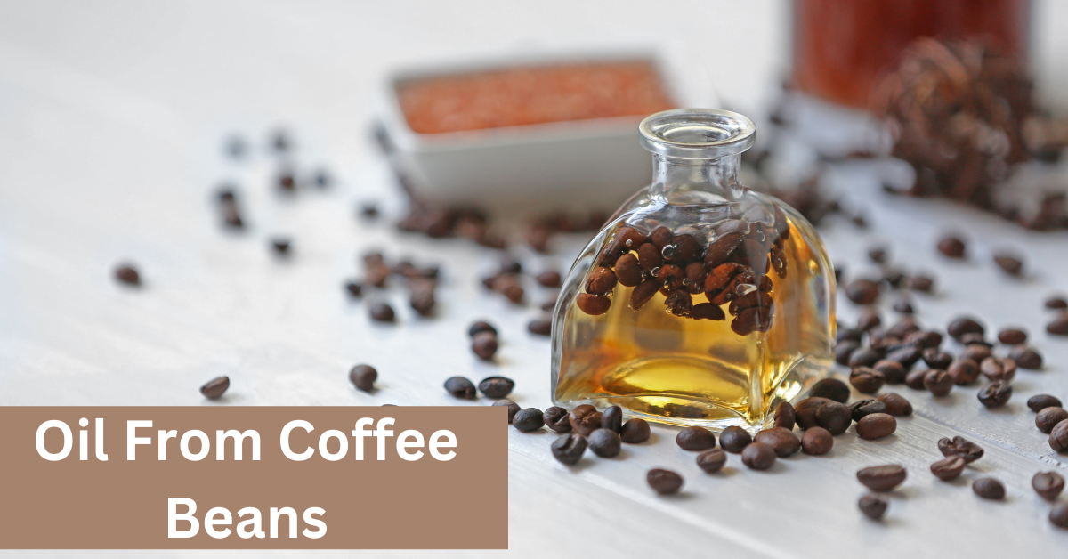 Oil From Coffee Beans – Extract In 7 Easy Steps