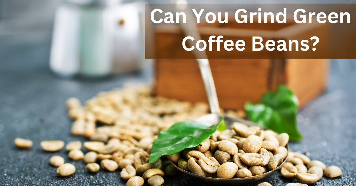 Can You Grind Green Coffee Beans? 3 Simple Methods